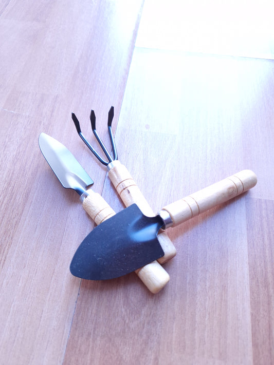 Set palitas negras | Cactus y suculentas