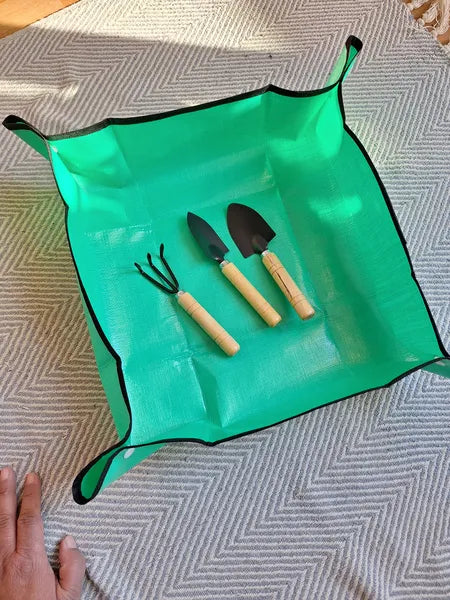 Pack Mat Palas Negras