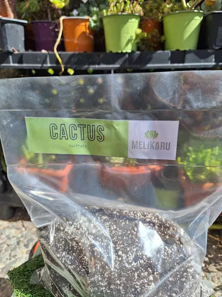 Sustrato Cactus