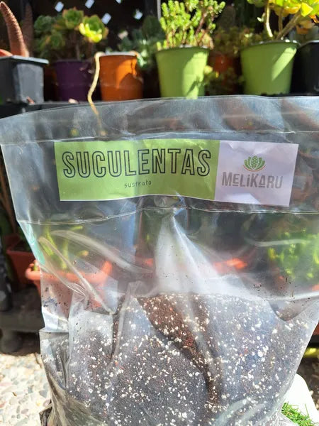 Sustrato Suculentas