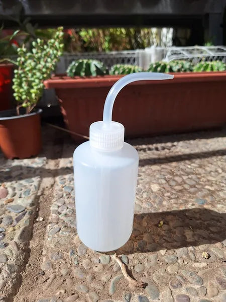 Botella