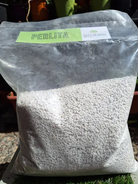 Perlita