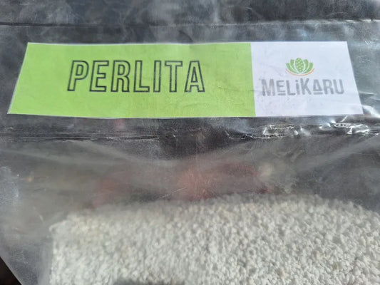 PErlita