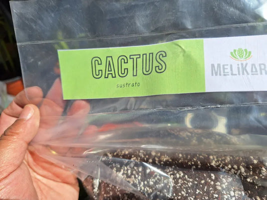 Sustrato Cactus
