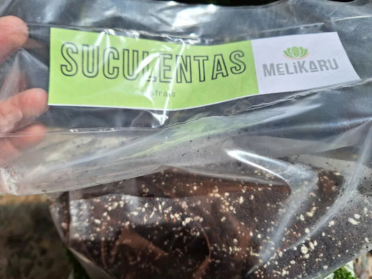 Sustrato Suculentas